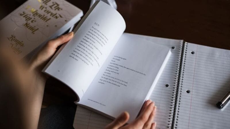 Perbedaan Antara Cerpen, Novel, dan Roman