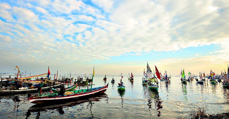 petik laut