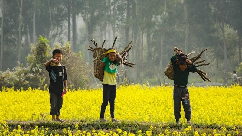 Perbedaan Hidup di Kota dan di Desa