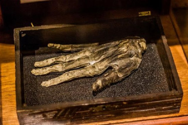 hand of glory