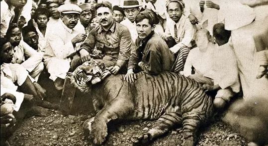 rampogan macan