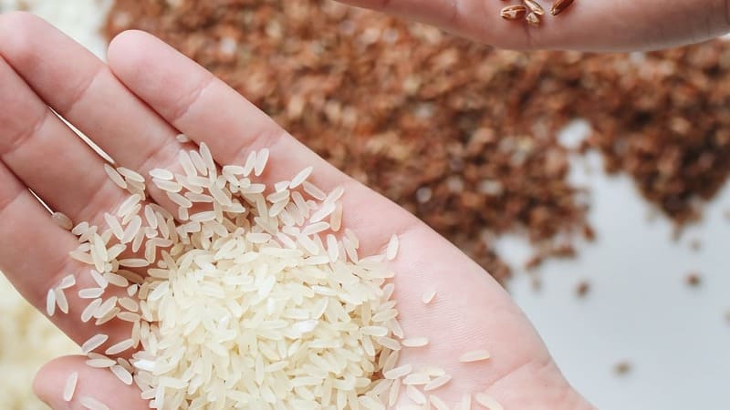 Cara Membuat Lulur Alami dari Beras
