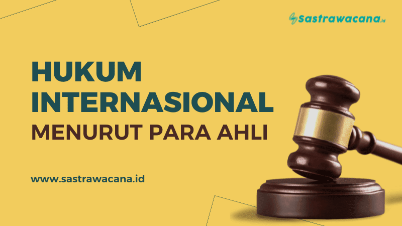 hukum internasional menurut para ahli