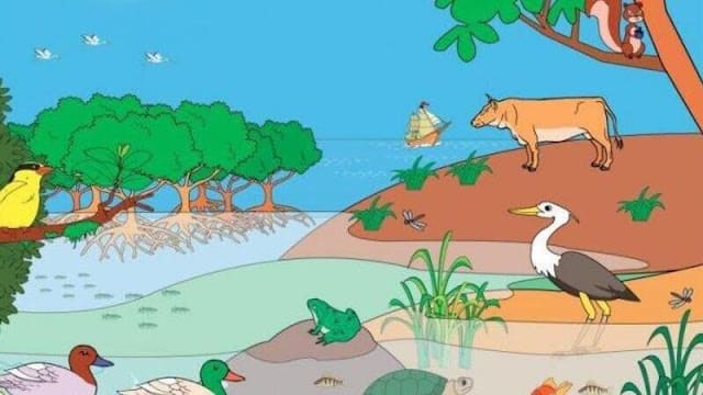 bagaimana makhluk hidup pada suatu ekosistem mendapatkan energi