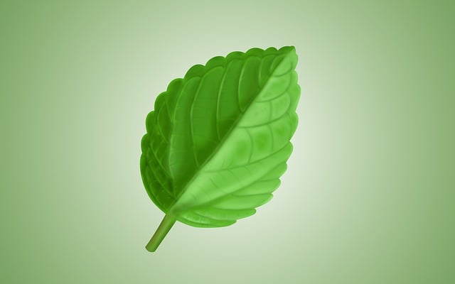 daun