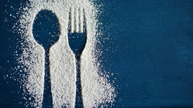posisi manusia dalam rantai makanan