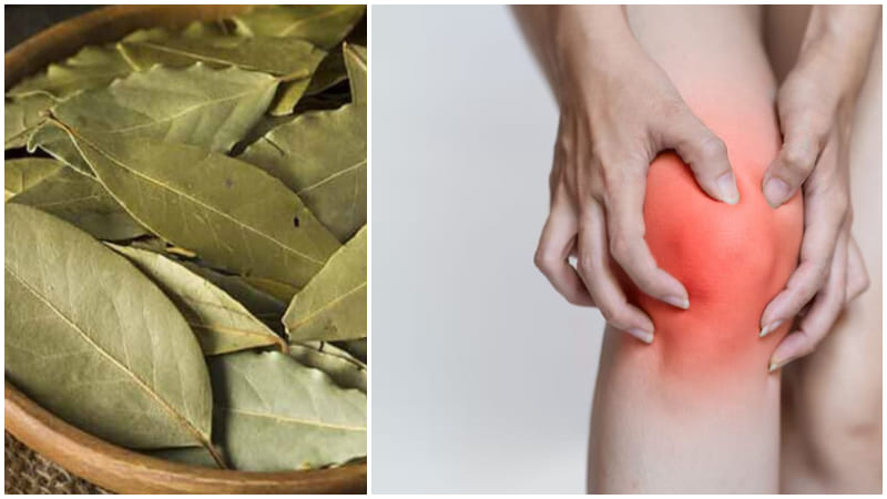 Obat Herbal Asam Urat