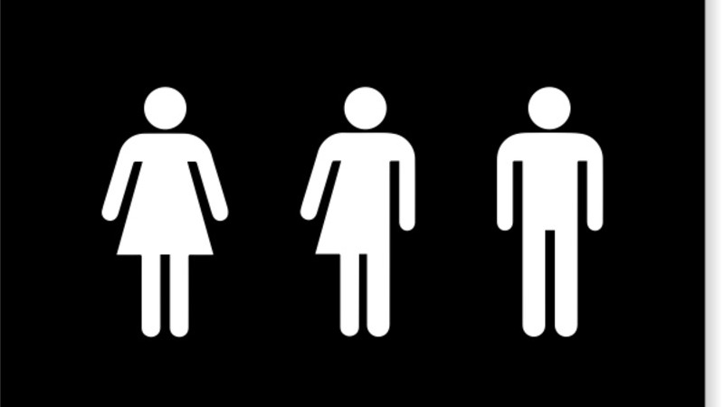 all gender