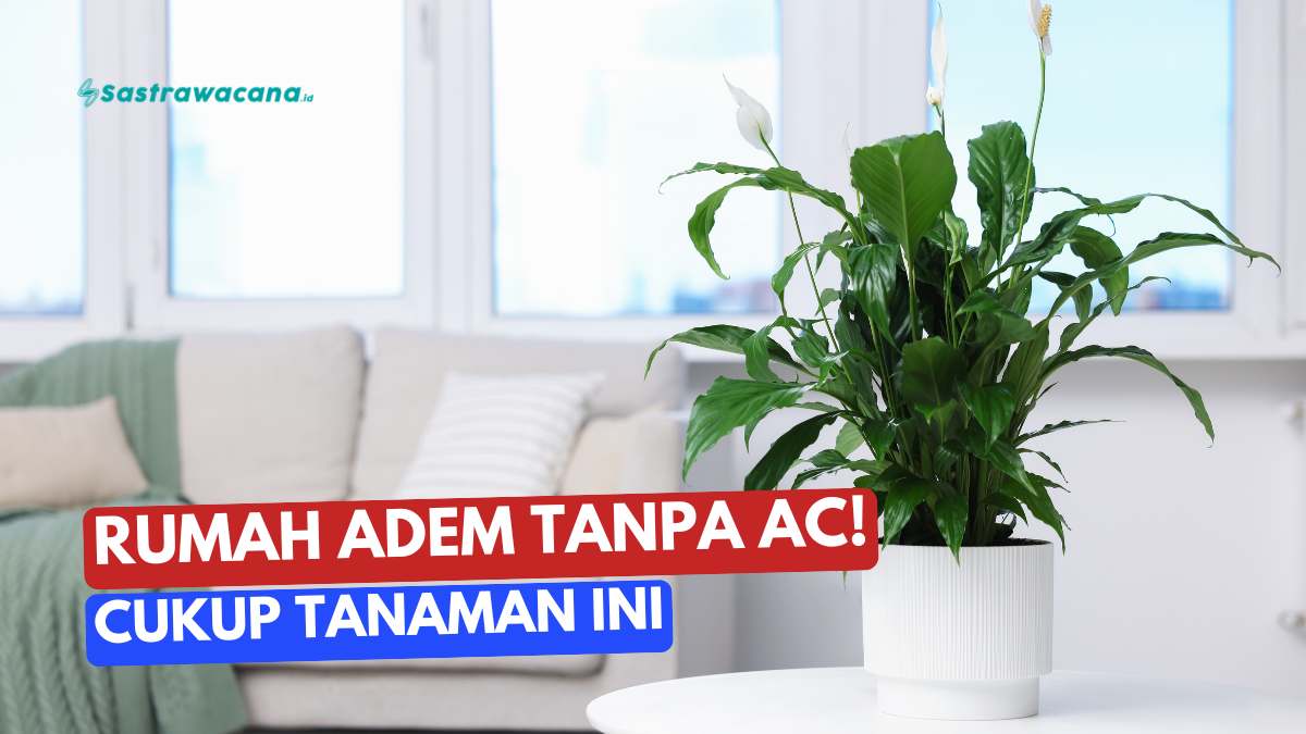 Tanaman Hias